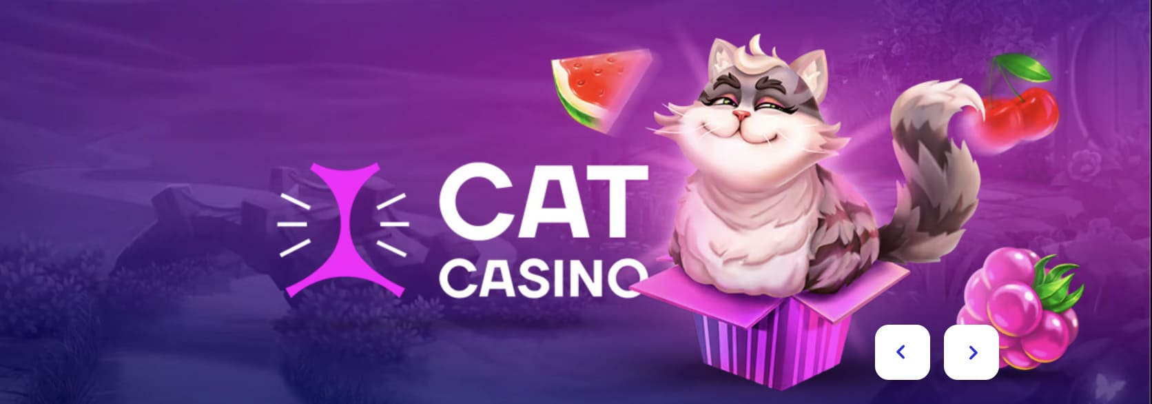 Cat Casino Interface